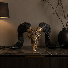 Authentic Ram Skull With Horn Hand Carved
