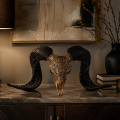 Authentic Ram Skull With Horn Hand Carved