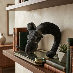 Authentic Ram Skull With Horn Hand Carved