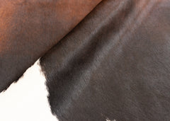 Reddish Cowhide Rug (Size: 250 x 200 CM)