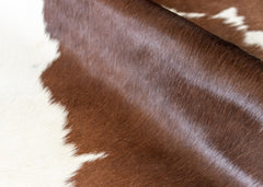 Chocolate Tan Cowhide Rug (Size: 210 X 220 CM)