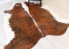 Medium White Spine Belly Brindle Cowhide Rug (Size: 210 X 200 CM) CHR2086
