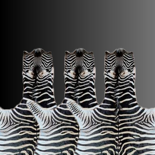 zebra skin rugs