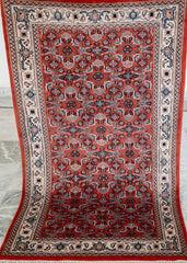 Oriental Agra Hand-Knotted Wool Small Hallway Runner Rug